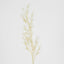 Podocarpus Grass Spray Beige