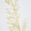 Podocarpus Grass Spray Beige