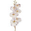 Orchid Stem 80cm Lavender - Pack of 12