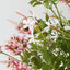 SWEET SALVIA WHITE & PINK ARRANGEMENT