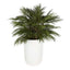 Bamboo Leaf Cluster Large Planter