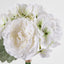 Ranunculus Hydrangea Bouquet White - Pack of 12