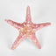 Sale Pink Starfish 15X15X4CM - Pack of 6