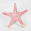 Sale Pink Starfish 15X15X4CM - Pack of 6
