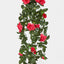 Hanging Rose Bush Fuchsia - Pack of 12