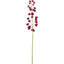 Fritteiaria Spray 112cm Lavender