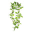 Pothos Garland 1.6m