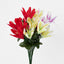 Tiger Lily Bush Asstd Colours Box of 60