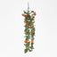 Hanging Rose Bush Orange