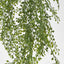 Hanging Boxwood Light Green - Pack of 6