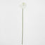 Anthurium Lily Real Touch White - Pack of 24