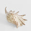 Spider Conch Shell