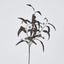 Halloween Willow Eucalyptus Black 72cm - Pack of 12