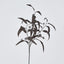 Halloween Willow Eucalyptus Black Spray 72cm (Set of 12)