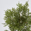 Cedar Bush Dark Green 46cm