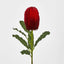Banksia Stem Red - Pack of 12