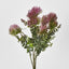 Thistle Bush x 5 Dark Pink - Pack of 12