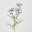 Scabiosa Spray with Buds Light Blue - Pack of 36