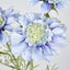 Scabiosa Spray with Buds Light Blue - Pack of 36