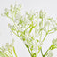 Baby's Breath Spray White - Pack of 24