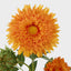 Sunflower Spray With 3 Flowers Orange - Pack of 12