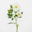 Sunflower Spray With 3 Flowers White - Pack of 12