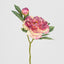 Peony Stem With Bud 48cm Burgundy - Pack of 36