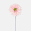 Gerbera Stem Pink - Pack of 72