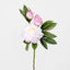 Peony With Two Buds Stem Pink - Pack of 36