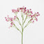 Baby's Breath Stem Burgundy - Pack of 36