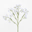 Baby's Breath Stem White - Pack of 36