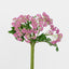 Snow Flower Bunch Purple - Pack of 120