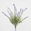 Lavender Bush Light Purple
