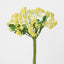 Snow Flower Bunch Yellow - Pack of 12