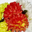 Chrysanthemum Bush 3 Colours Box of 60 - Pack of 60