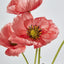 Mini Poppy Spray Pink