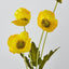 Mini Poppy Spray Yellow