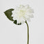 Dahlia 28cm White