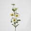 Cosmos Spray 85cm White