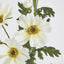 Cosmos Spray 85cm White