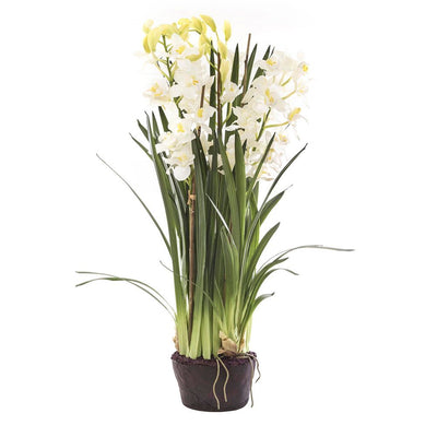 Artificial Cymbidium Giant Paper Pot 110cm White - House of Isabella AU