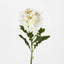 Agapanthus Stem White (Set of 12)