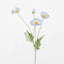 Poppy Spray Light Blue