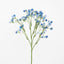 Baby's Breath Stem Blue - Pack of 36