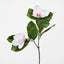 Magnolia Stem Pink