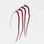 Amaranthus Stem Plum Red