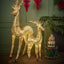 Vixen Light Up Reindeer