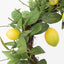 La Dolce Vita Lemon Wreath 60cm