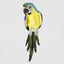 Azure Yellow Belly Parrot Large