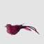 Calypso Clip on Bird Set of 3 Fuchsia